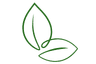 Feed Forward leaf logo